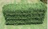 Picture of Alfalfa 3-string Square Bale (Arizona)